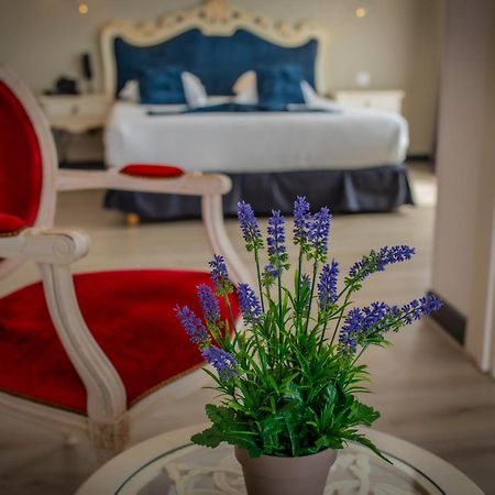 Alexain Hotel Restaurant & Wellness - Colmar Ouest Trois-Épis Екстериор снимка