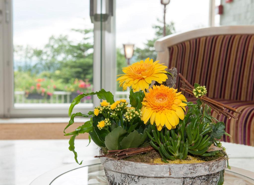 Alexain Hotel Restaurant & Wellness - Colmar Ouest Trois-Épis Екстериор снимка
